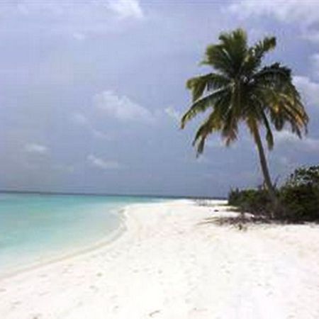 Goby Lodge Guest House Mahibadhoo Dış mekan fotoğraf