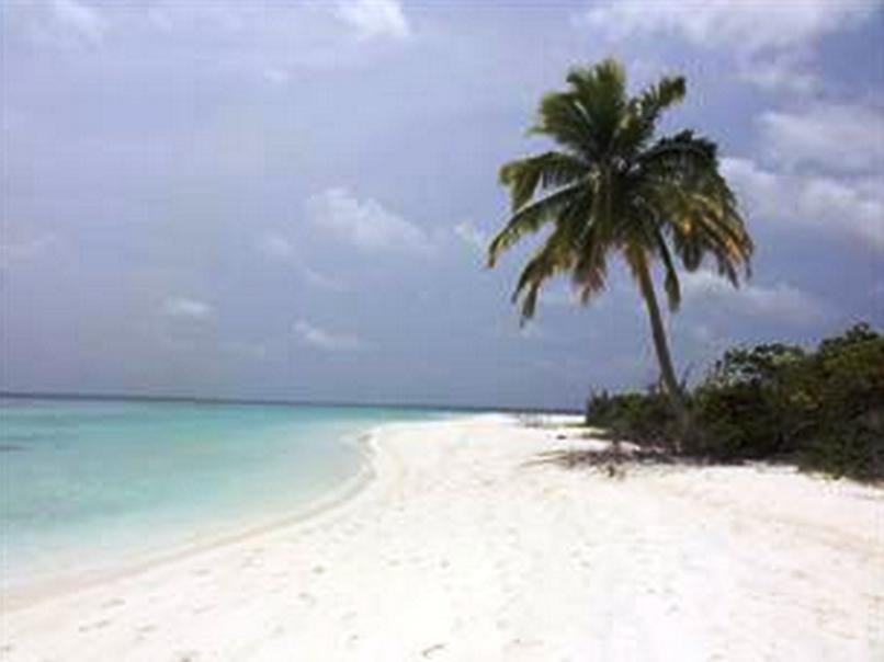 Goby Lodge Guest House Mahibadhoo Dış mekan fotoğraf